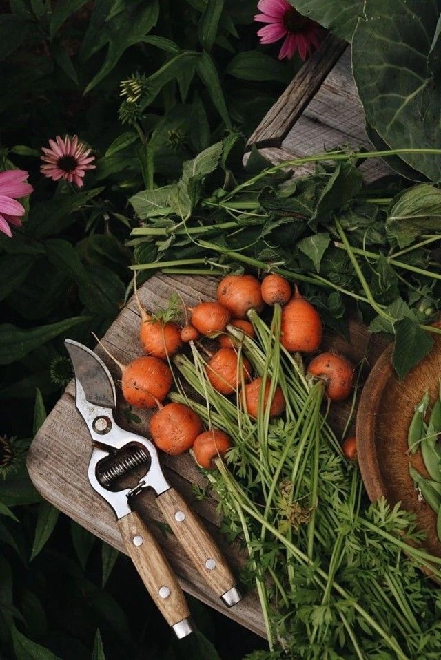 Composting